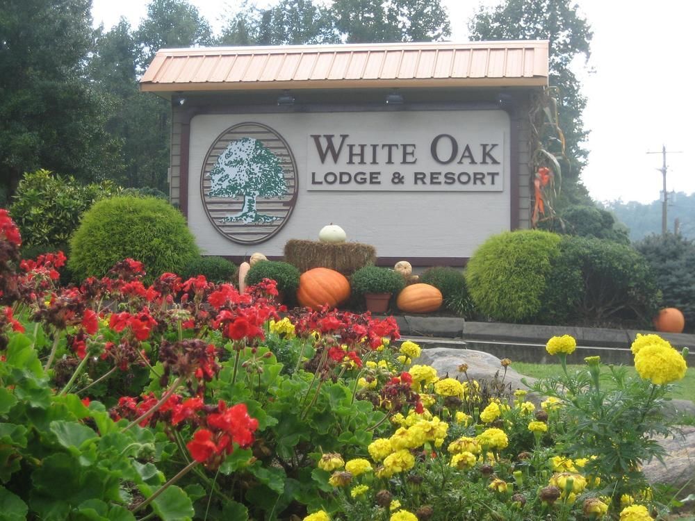 White Oak Lodge And Resort Pittman Center Buitenkant foto