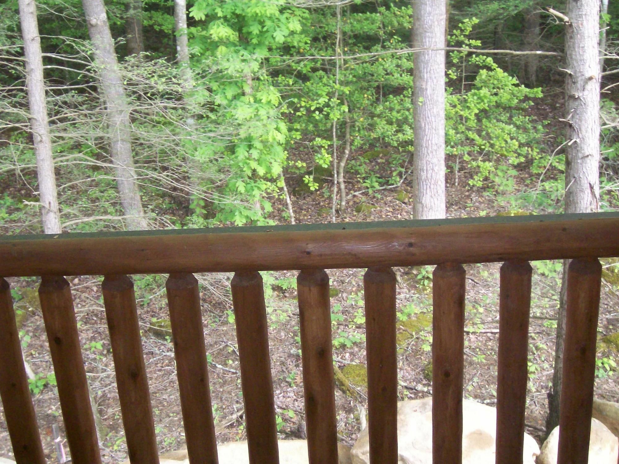 White Oak Lodge And Resort Pittman Center Buitenkant foto